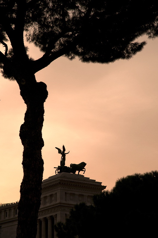 A 5 D33_2930--Rom-2020.jpg